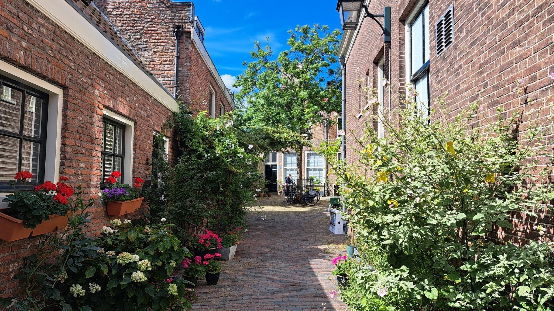 Doorkijkje op het Goudsmidsplein in Haarlem.